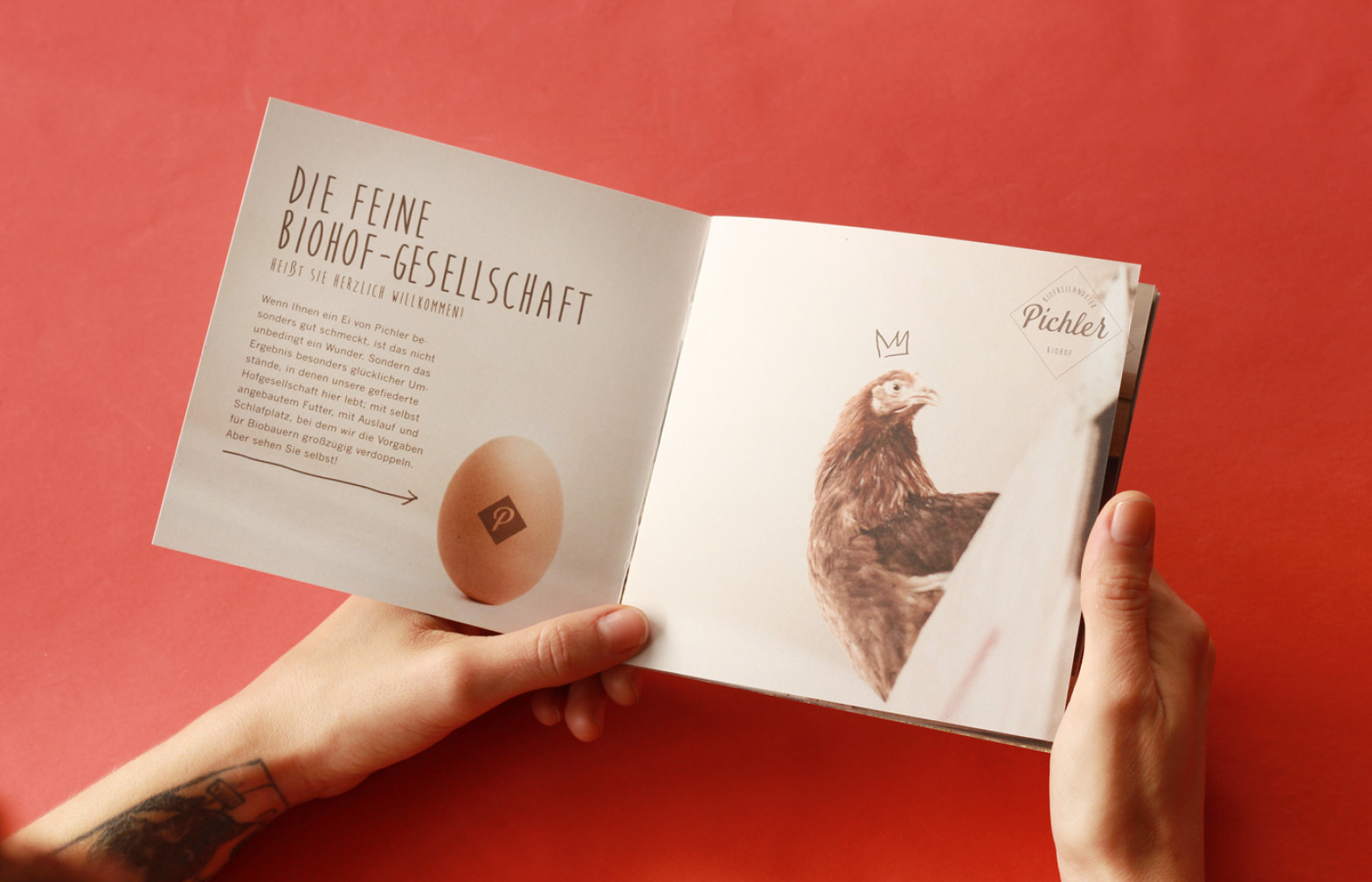 biohof-pichler-pöndorf-anti-form-schumer-feeel-media-branding-markenbildung-grafik-design