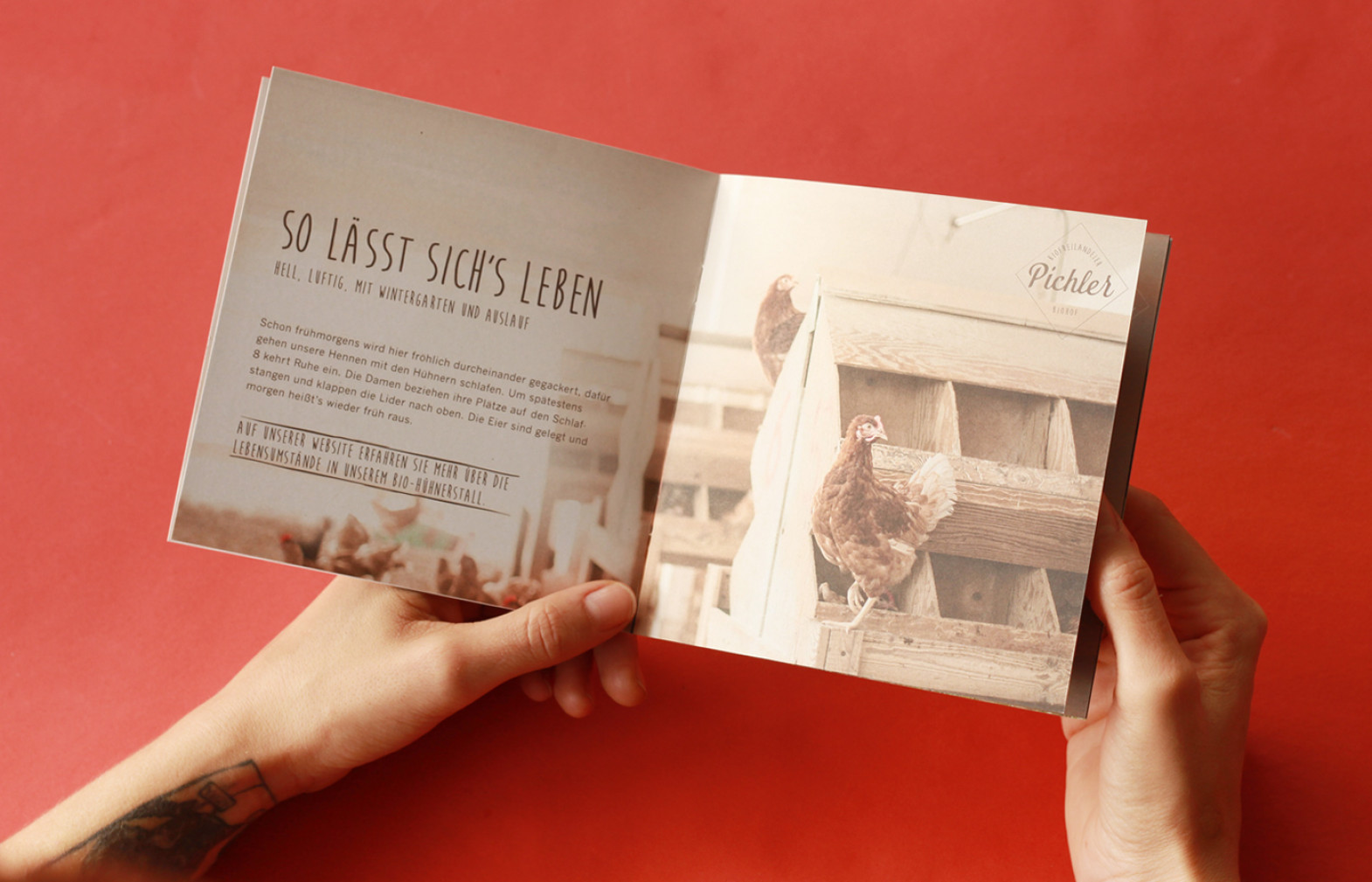 biohof-pichler-pöndorf-anti-form-schumer-feeel-media-branding-markenbildung-grafik-design