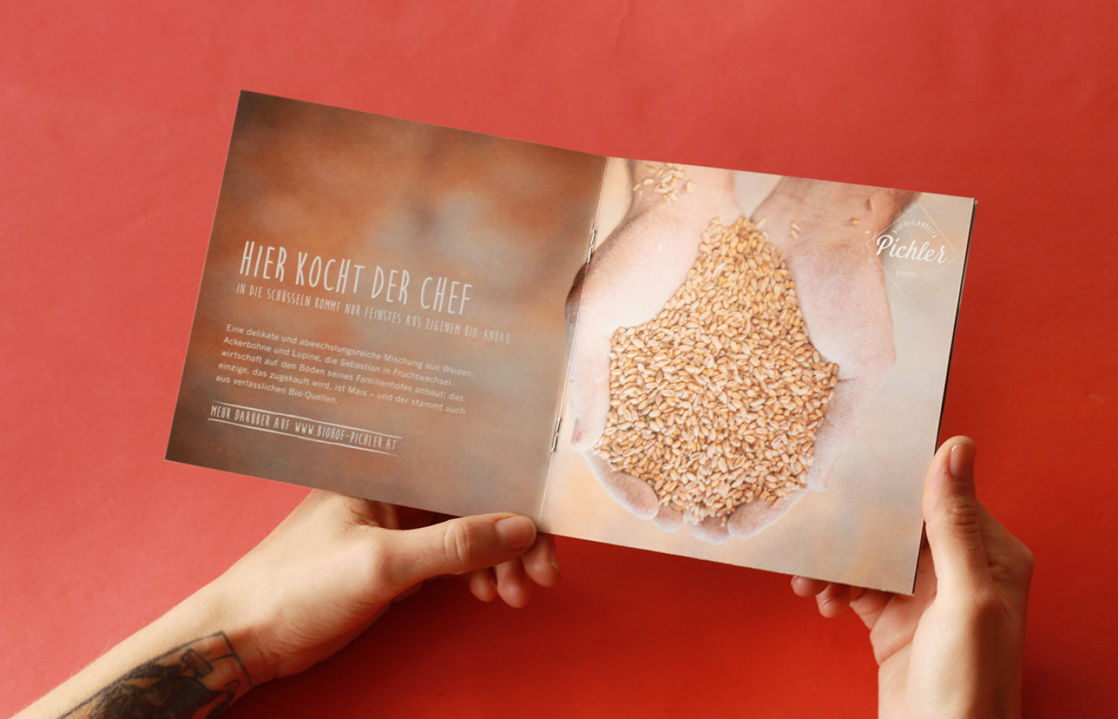 biohof-pichler-pöndorf-anti-form-schumer-feeel-media-branding-markenbildung-grafik-design