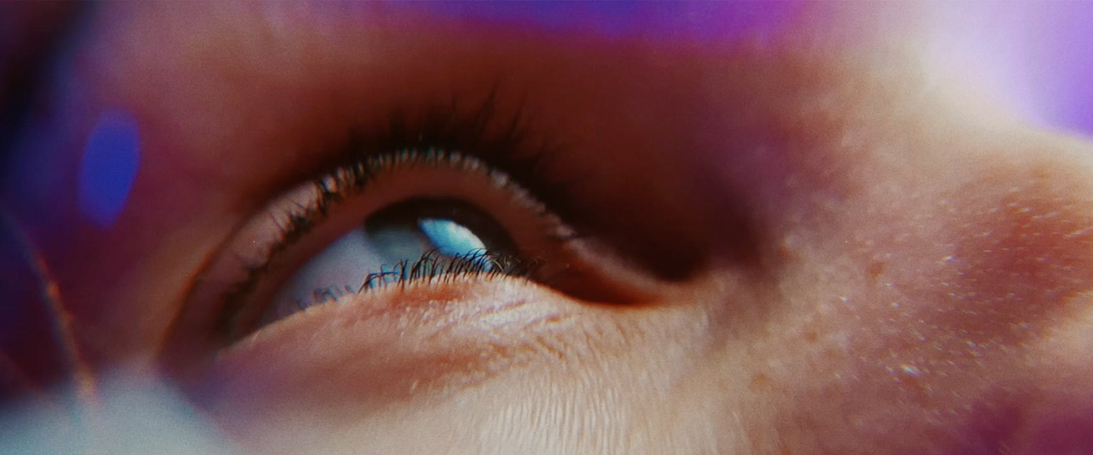 stefan-stoeger-feeel-media-lebendig