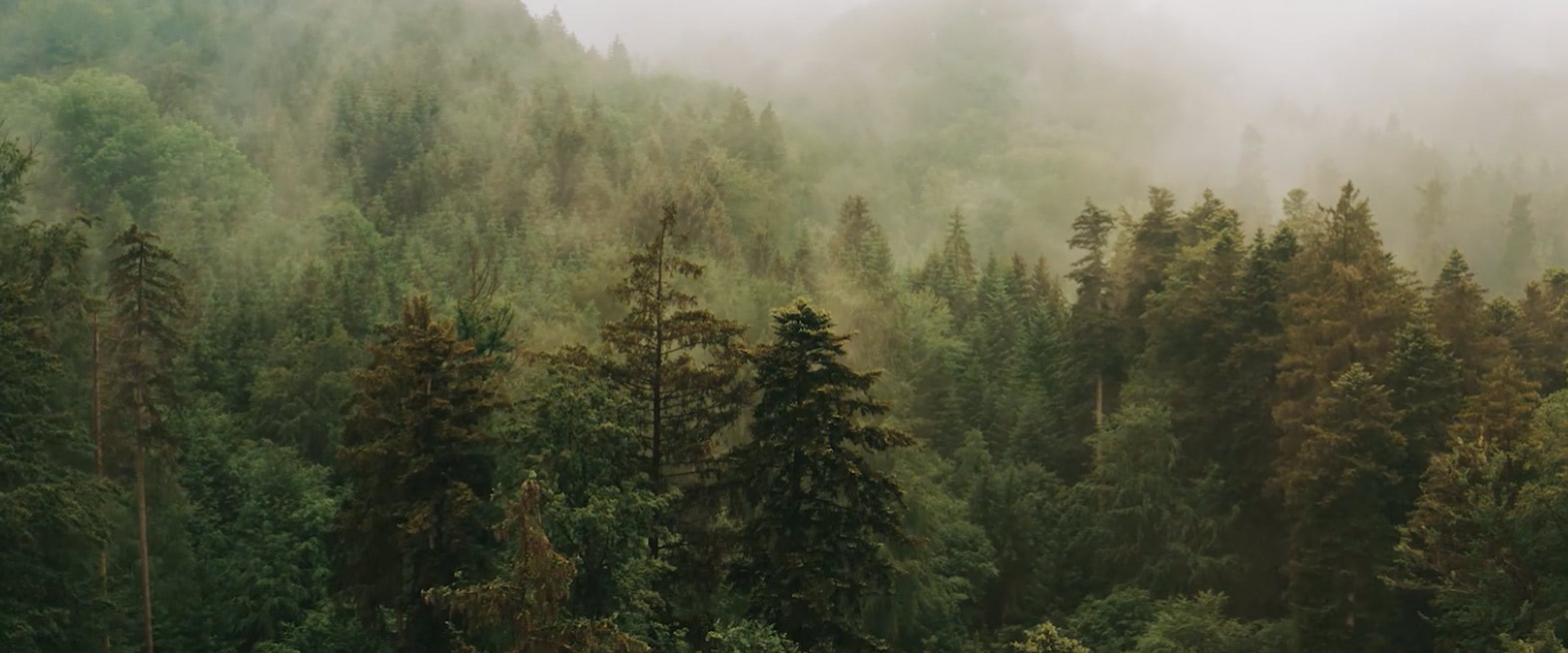 stefan-stoeger-feeel-media-cine-mood