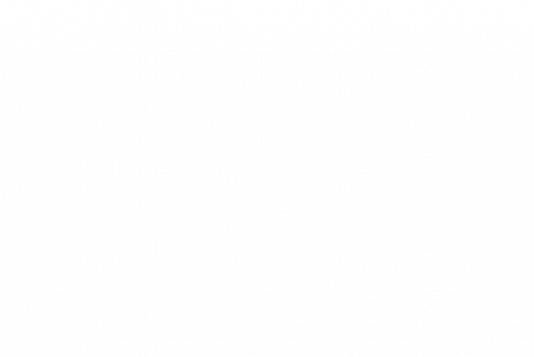 Kiener-feeel-media-branding-header